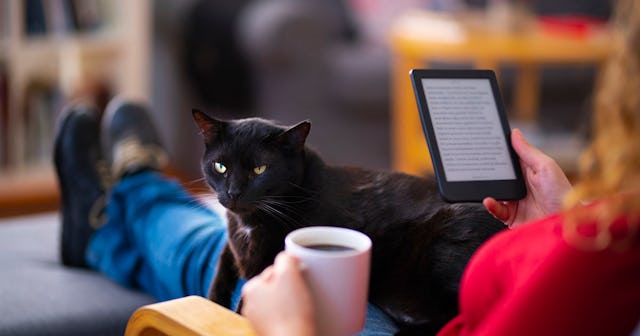 kindle deal