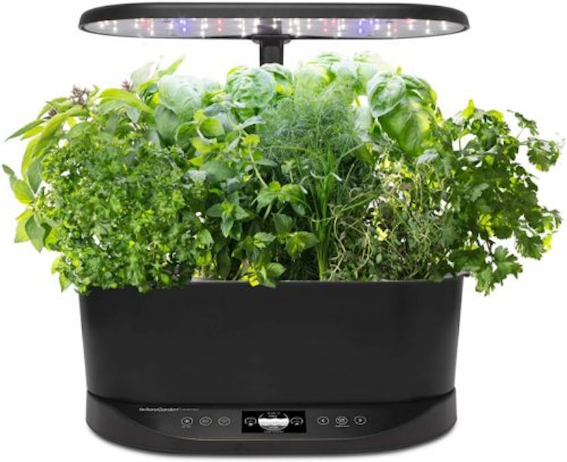 AeroGarden Bounty Basic-Black Indoor Garden