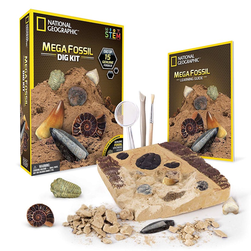 NATIONAL GEOGRAPHIC Mega Fossil Dig Kit