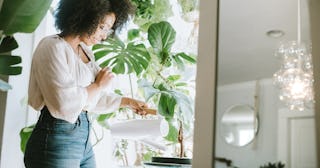 indoor plants that are hard to kill