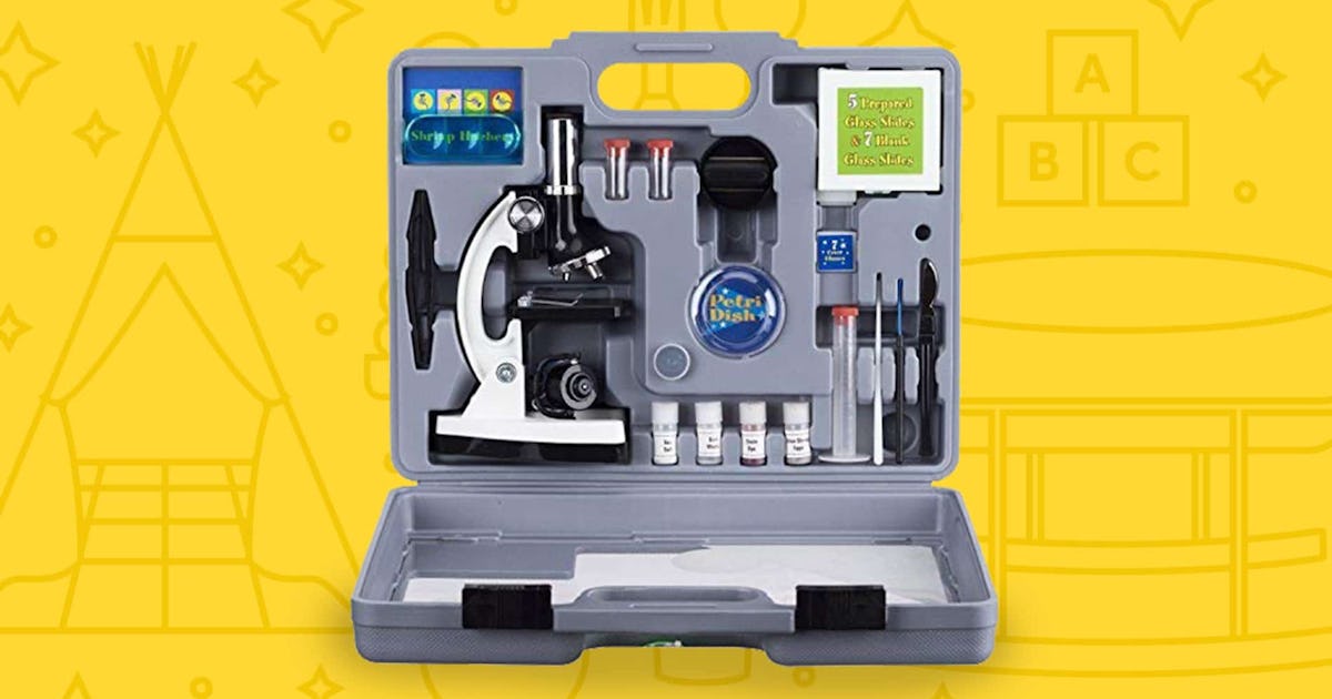 12 Best Science Kits For Kids That Will Get Them Winning The Next ...