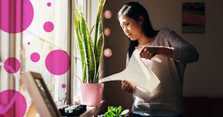 A woman watering her plant in the house and being productive and happy after taking anti-depressants