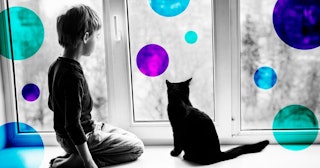 Young boy and a cat looking through a window in black and white with purple and turquoise illustrate...