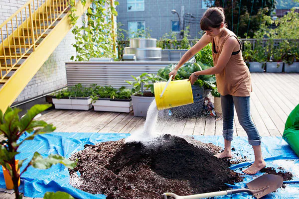 You Don’t Have To Go ‘All In’ To Make An Environmental Impact