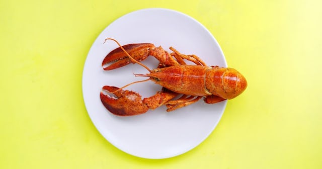 shellfish allergy, lobster on a plate