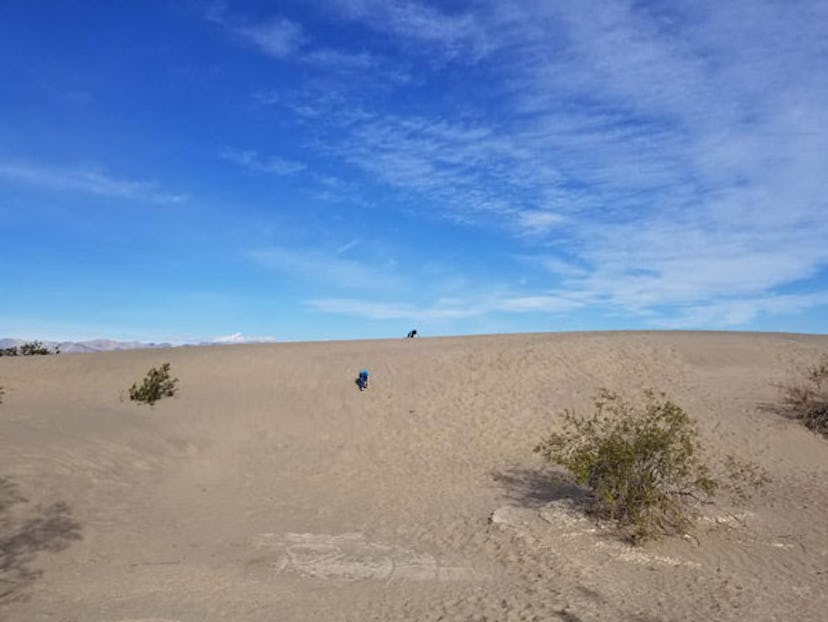 A kid wandering in the desert