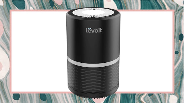 Levoit Pet Air Purifier