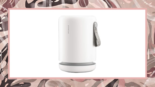 Molekule Air Home Smoke Purifier