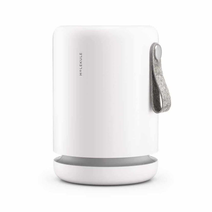 Molekule Air Mini