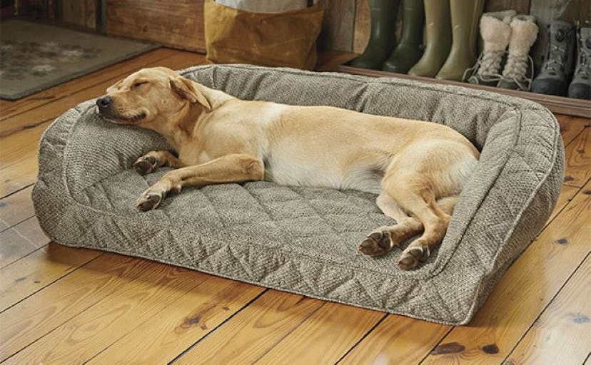 Orvis Memory Foam Bolster Dog Bed