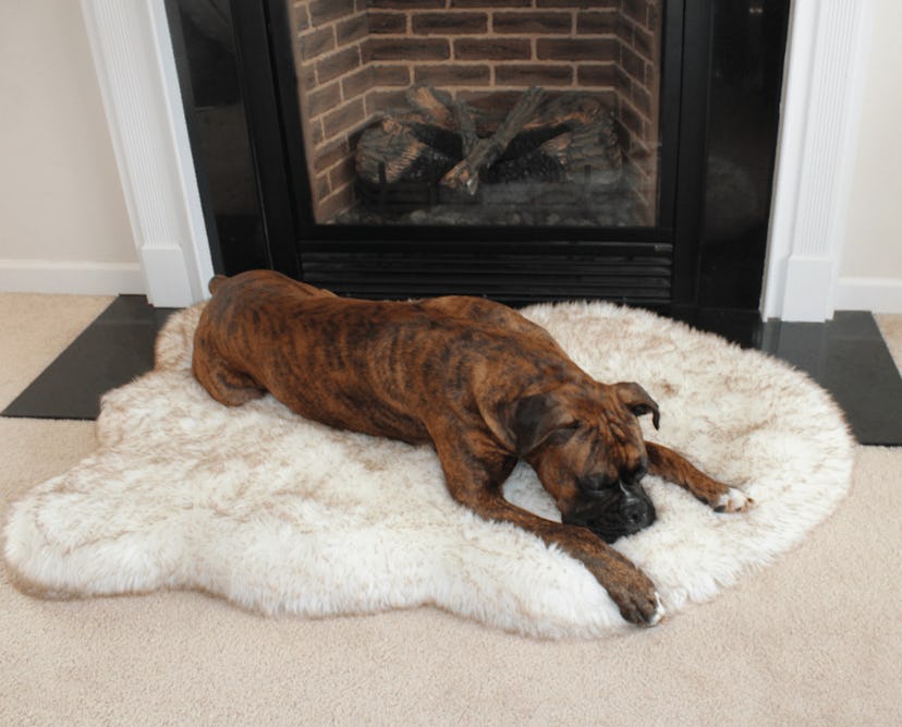 PupRug Faux Fur Orthopedic Dog Bed