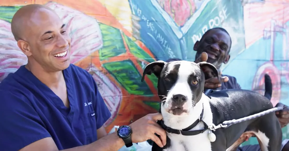 California Veterinarian Treats Pets Of Those Experiencing Homelessness