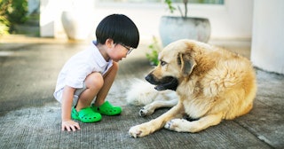 Teach Your Kids How To Deal With Confrontation: boy looking at pet dog
