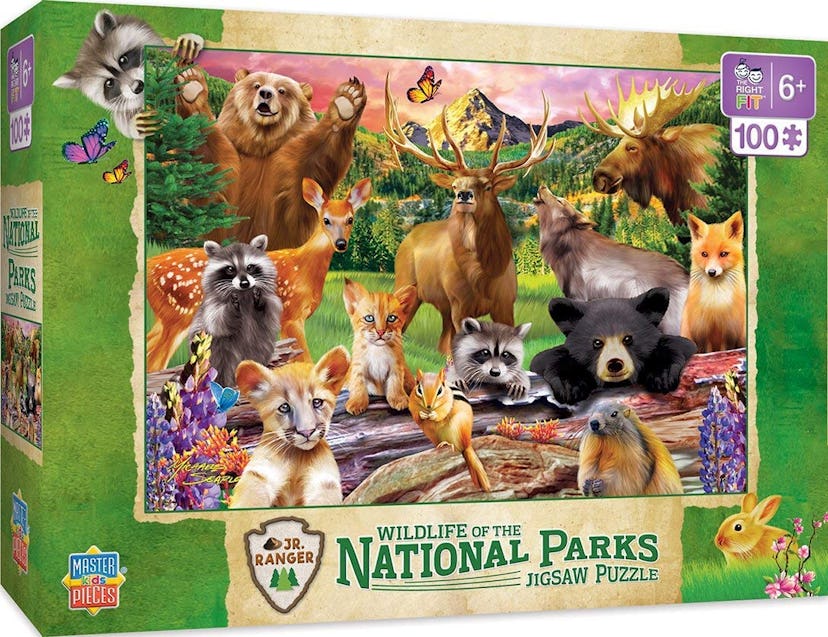 MasterPieces National Parks Piece Puzzle