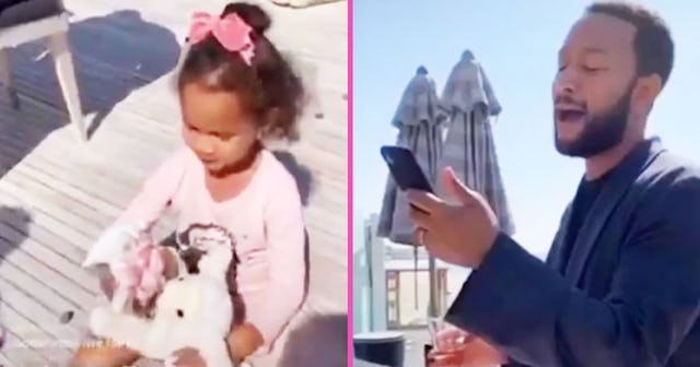 Chrissy And John Held A Beachside Wedding For Luna's Stuffed Animals