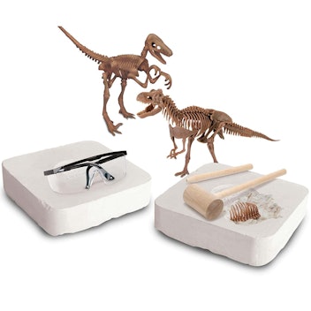 Discovery Kids MINDBLOWN Dinosaur Fossil Excavation Kit 