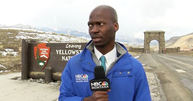 Reporter Reacting To An Approaching Bison Herd Has The Internet In Tears
