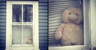 Stuffed bear in window