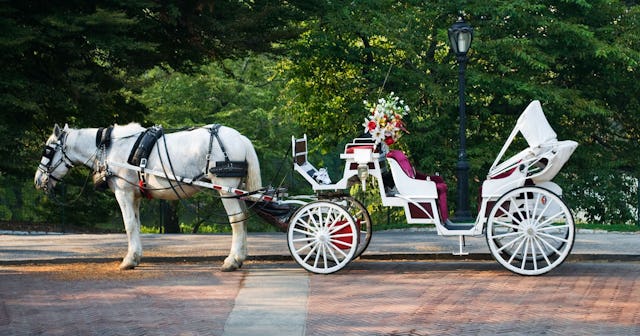 A horse and buggy in Central Park during the Summer.