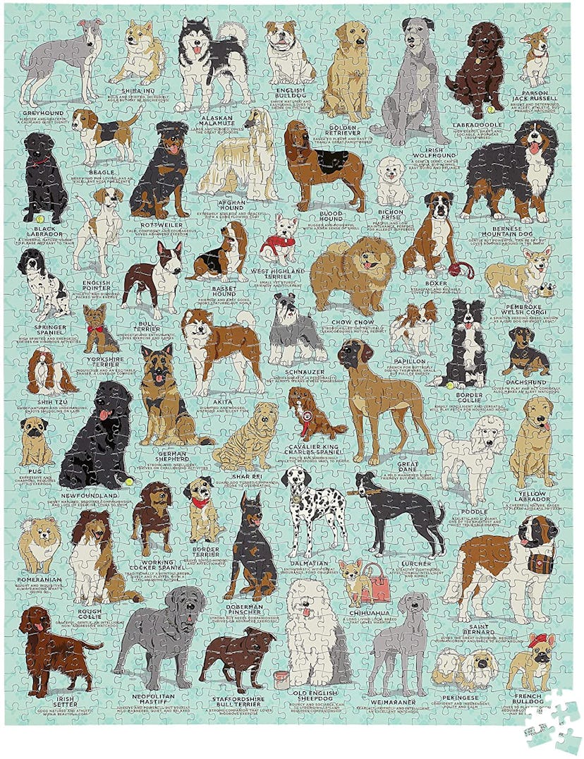 Ridley's Dog Canine Lovers 1000 Piece Activity Jigsaw Puzzle