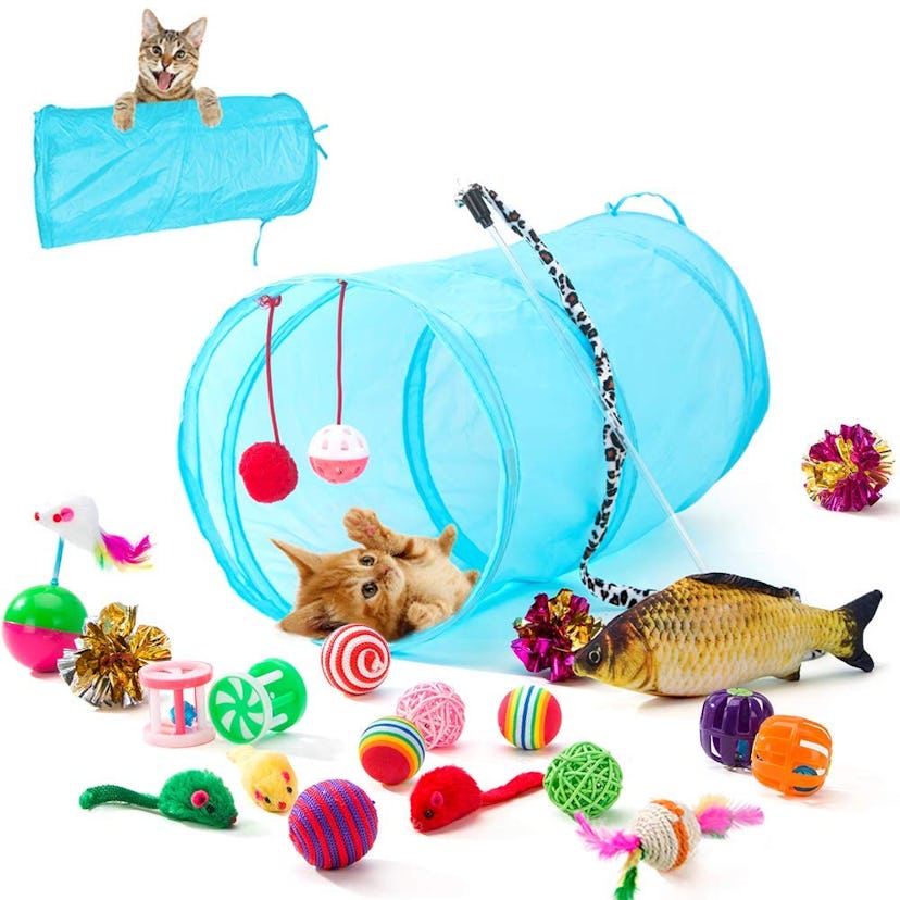 HIPIPET 21 Piece Cat Toy Set