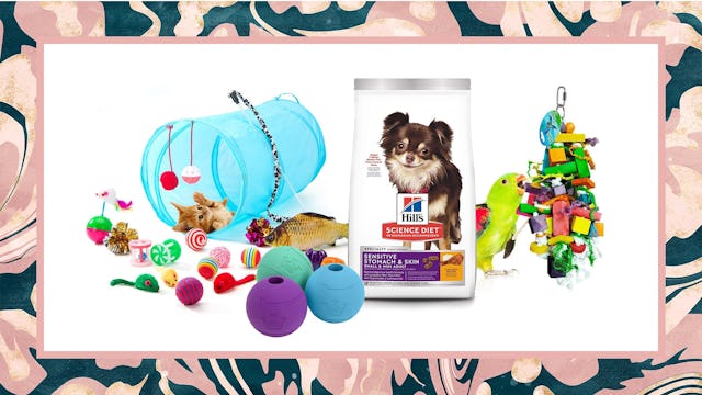 Amazon Subscribe & Save Pets