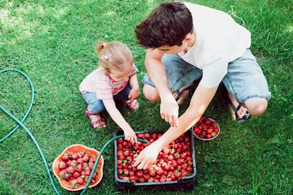 child and parent with fruits