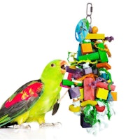 SunGrow Parrot Chewing Toy