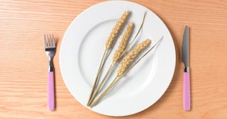 wheat and gluten allergy