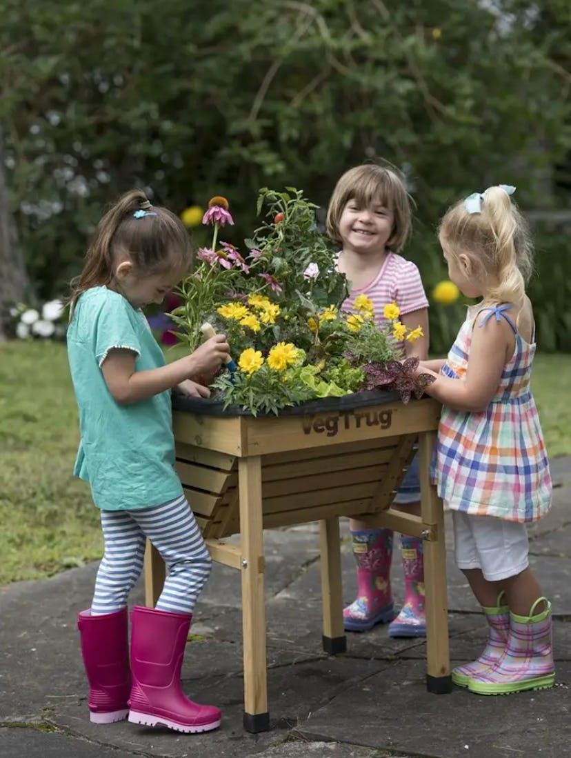 VegTrug Kids Planter