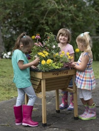 VegTrug Kids Planter