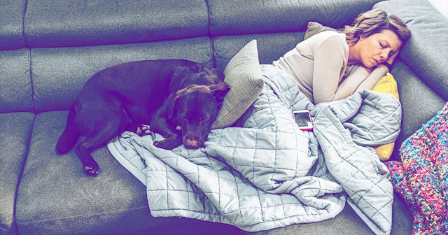 Woman asleep on sofa with pet dog