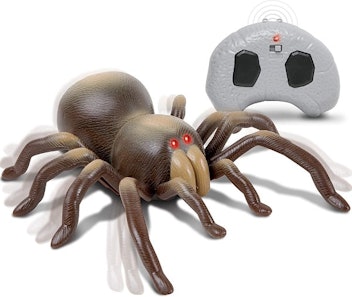 Discovery Kids RC Tarantula Spider