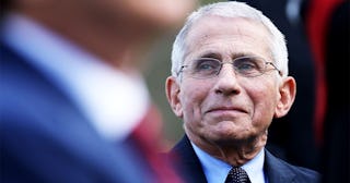 National Institute of Allergy and Infectious Diseases Director Anthony Fauci