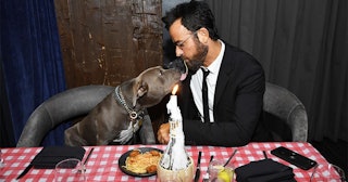 Justin Theroux and his dog share a meal