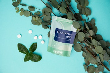 Eucalyptus Mint Toothpaste Tablets