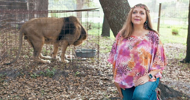 There's Going To Be A 'Tiger King' Sequel Focusing On Carole Baskin's Missing Husband