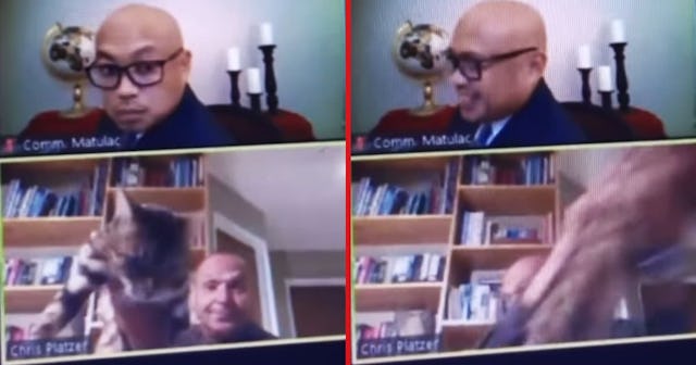 California Official Resigns After Throwing His Cat During A Zoom Meeting