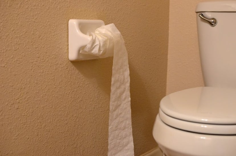 A toilet paper roll in the toilet