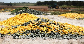 A pile of zucchini and squash is seen after it was discarded by a farmer on April 01, 2020 in Florid...
