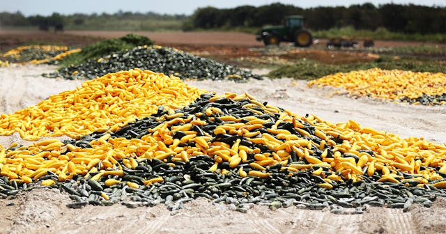 A pile of zucchini and squash is seen after it was discarded by a farmer on April 01, 2020 in Florid...