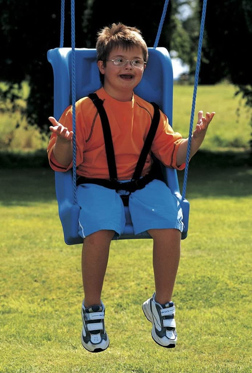 TFH-UK Full Support Special Needs Swing