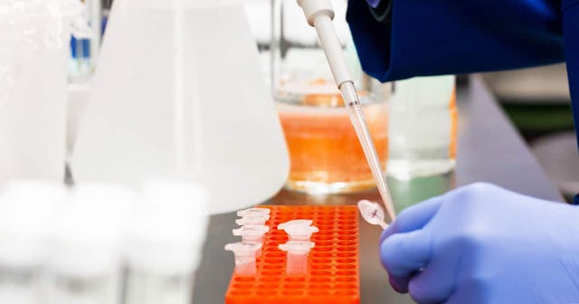 I Took The COVID-19 Antibody Test, And This Is What It Was Like