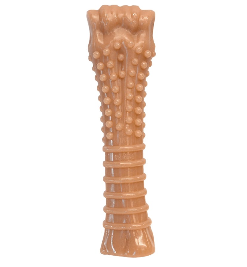 Nylabone Flavored Durable Dog Chew Toy