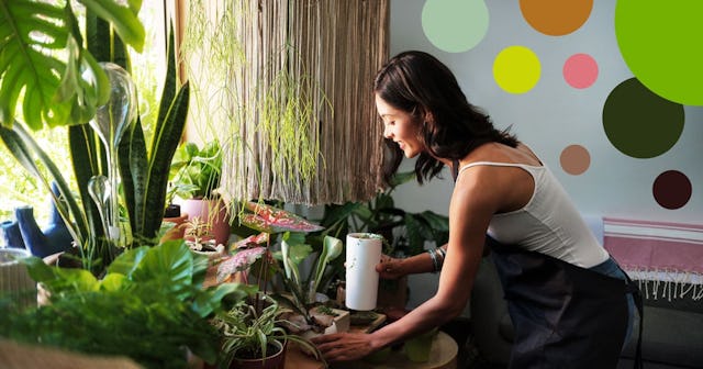 Pandemic Plants Are A Thing