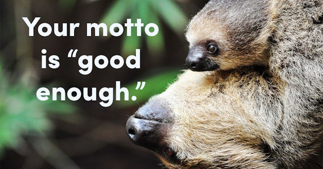 Mother and baby Two-Toed Sloths25 Signs You’re A Sloth Parent: