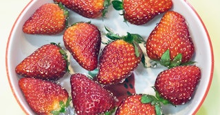 Strawberries in water bowl