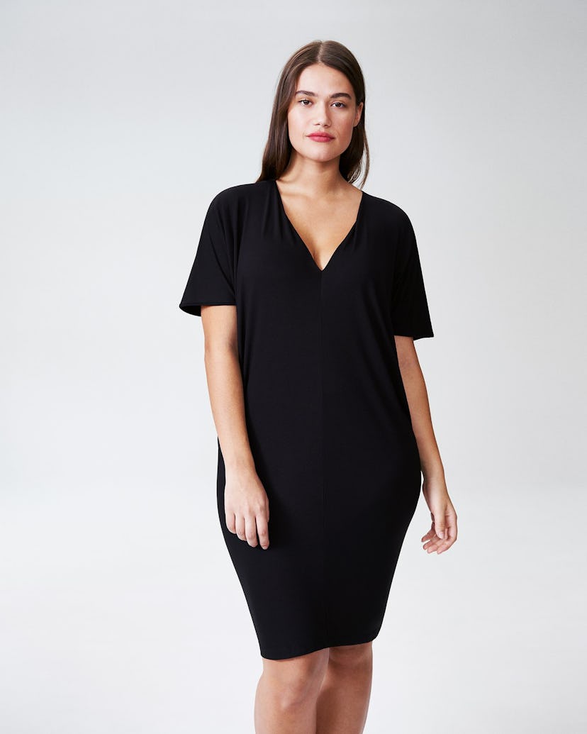 Universal Standard Teresa V-Neck Dress for Women