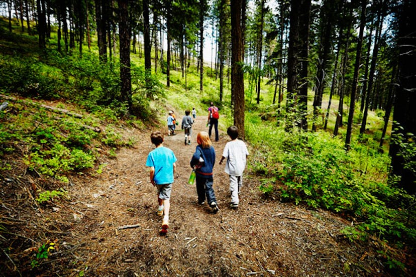 Group of young kids walking on trail in forest