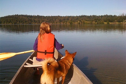 Maybe Forced Family Fun Is The Pandemic Prescription We Need: child and dog in boat